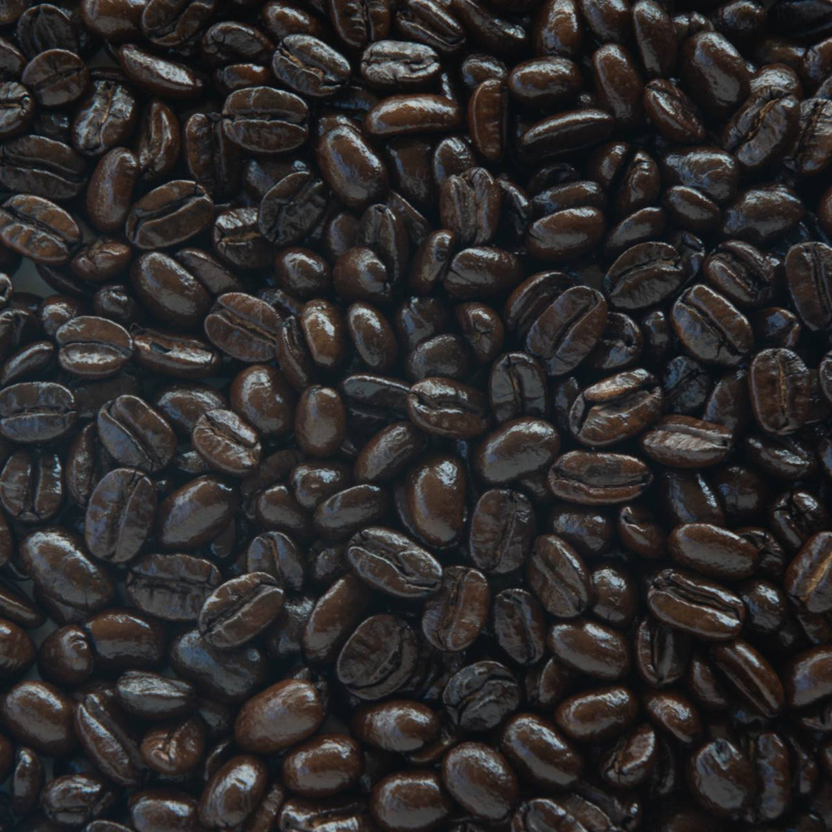 House Blend image 1