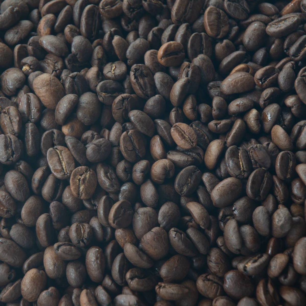 Partners in Crema image 1