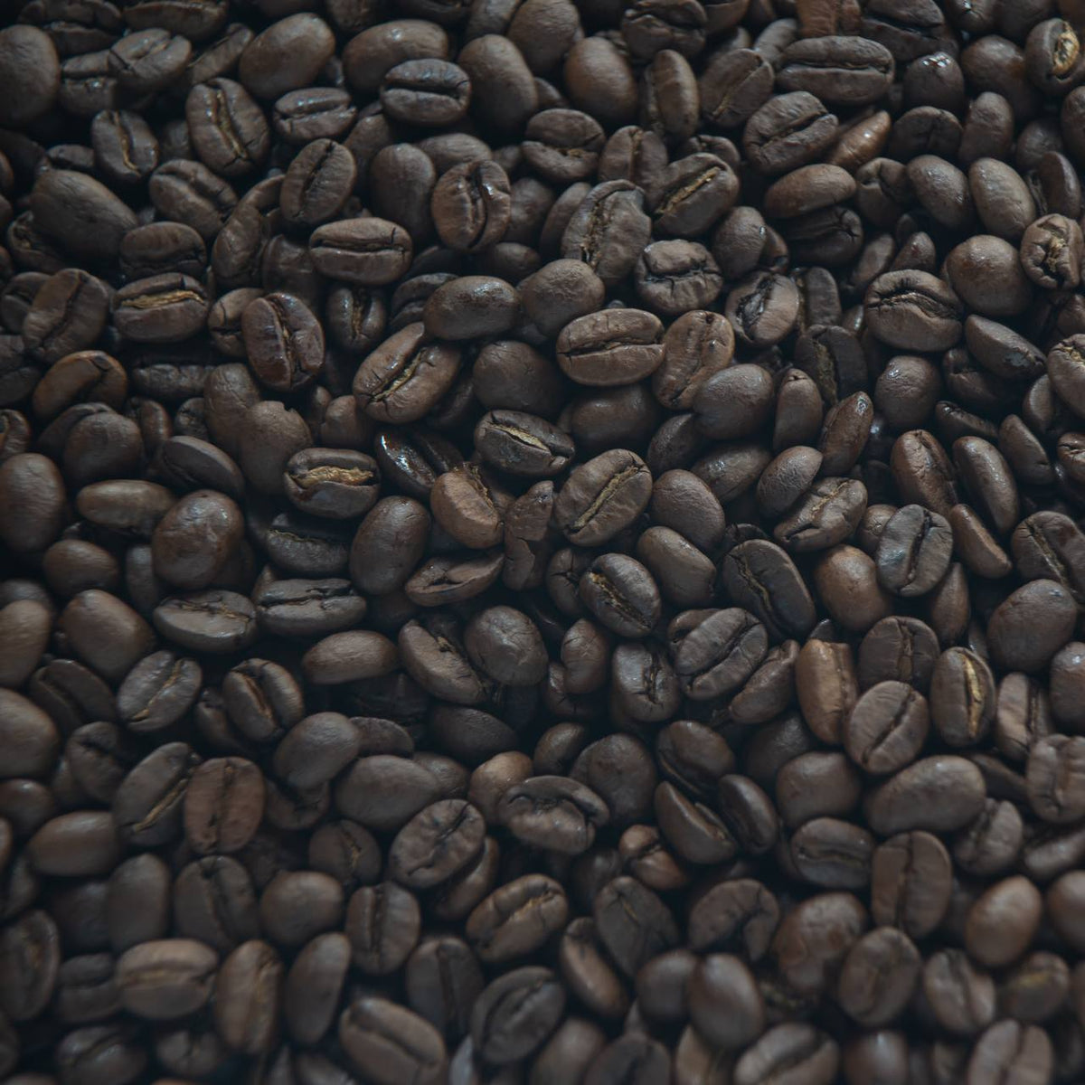 Breakfast Blend image 1