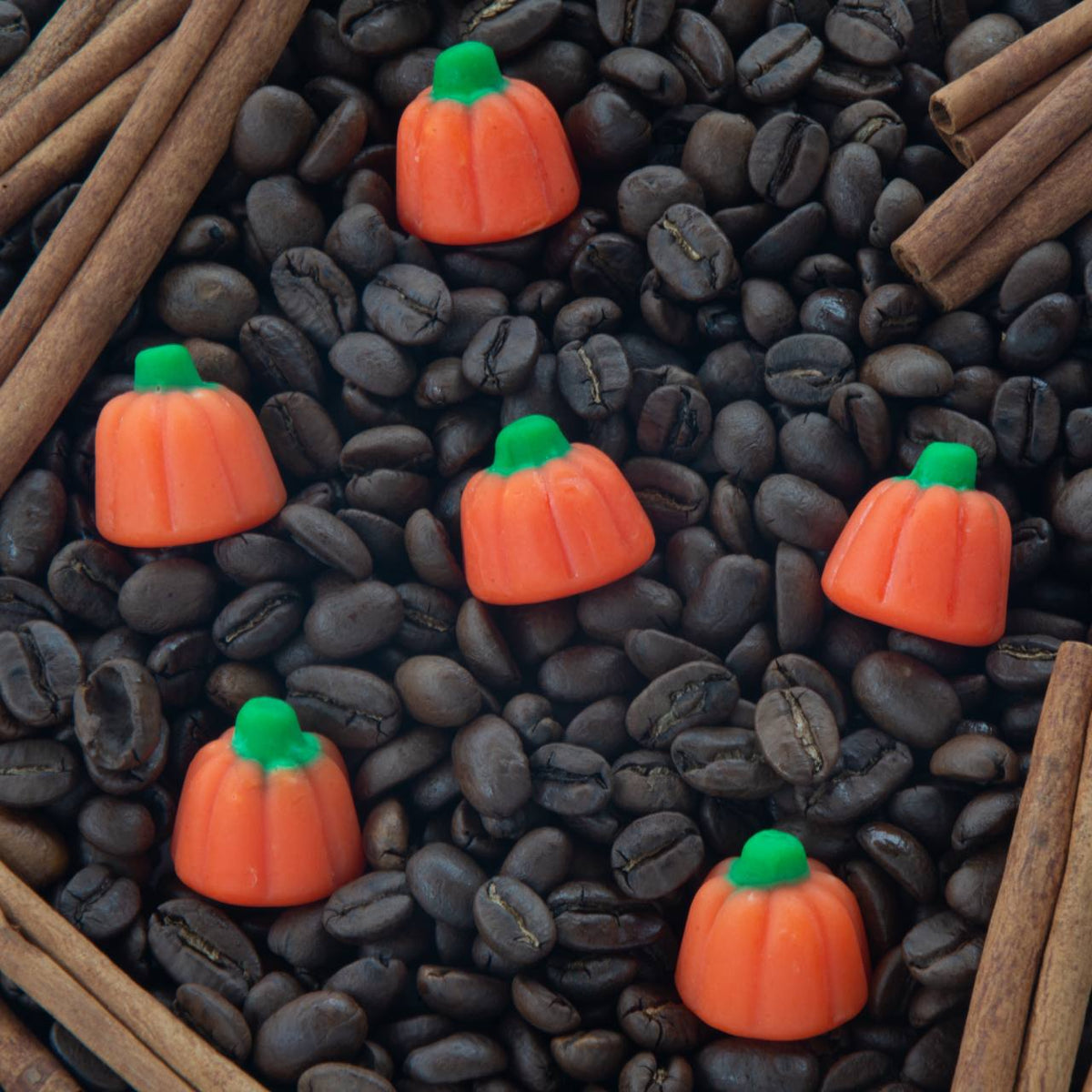 Basic Witches image 1