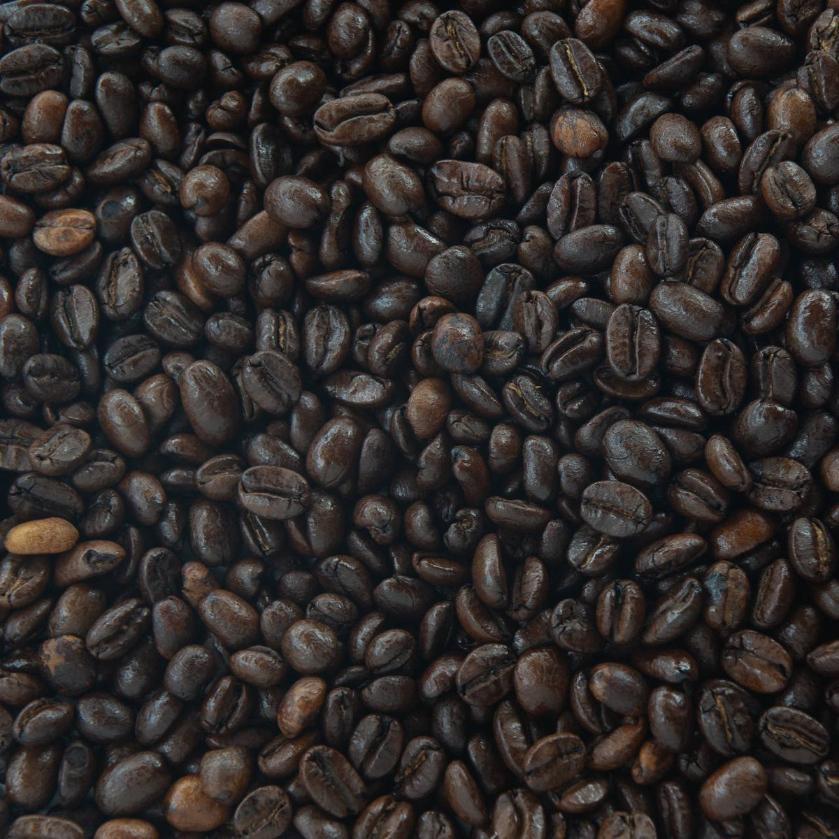 Disco Beans image 1