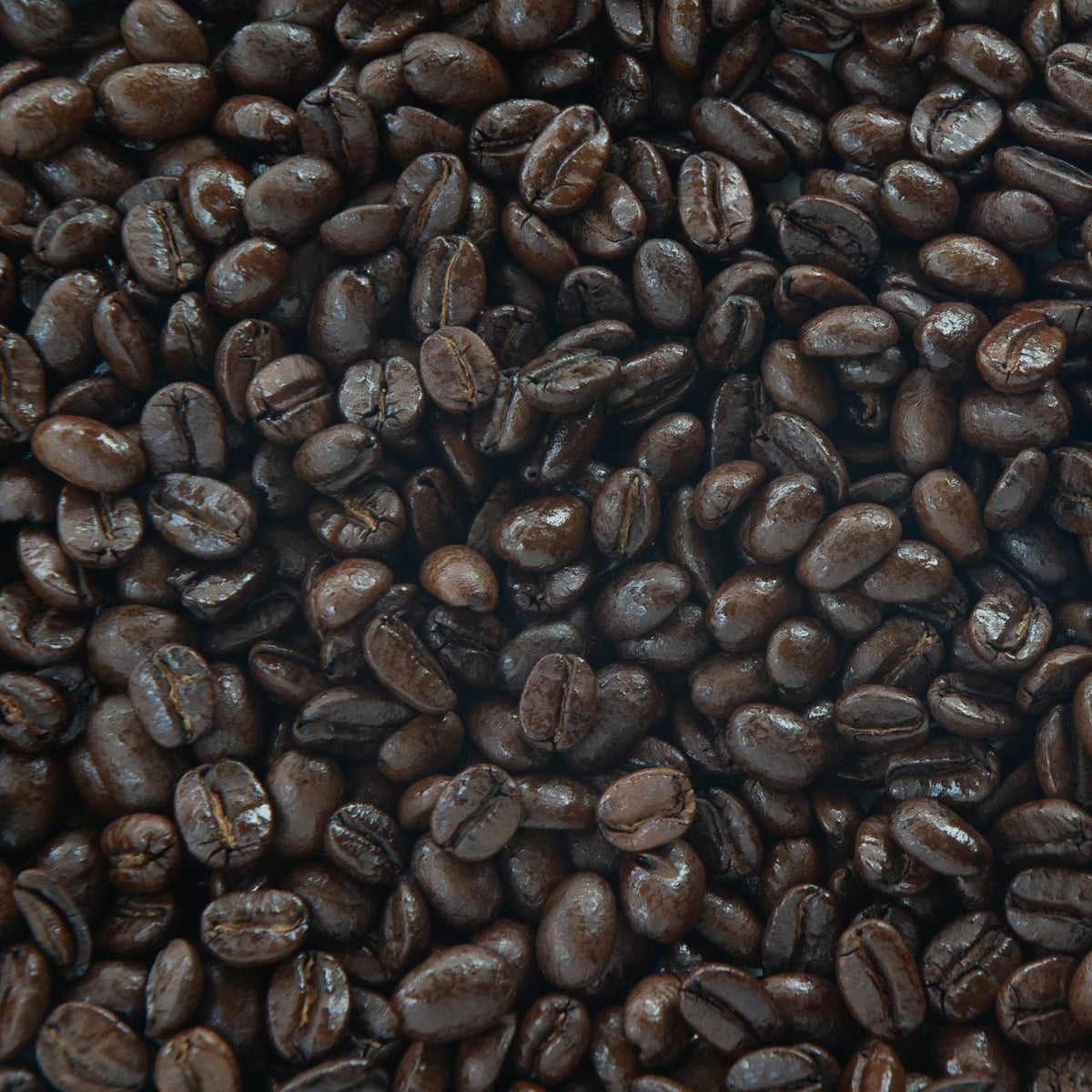 Old Major's Brew image 1