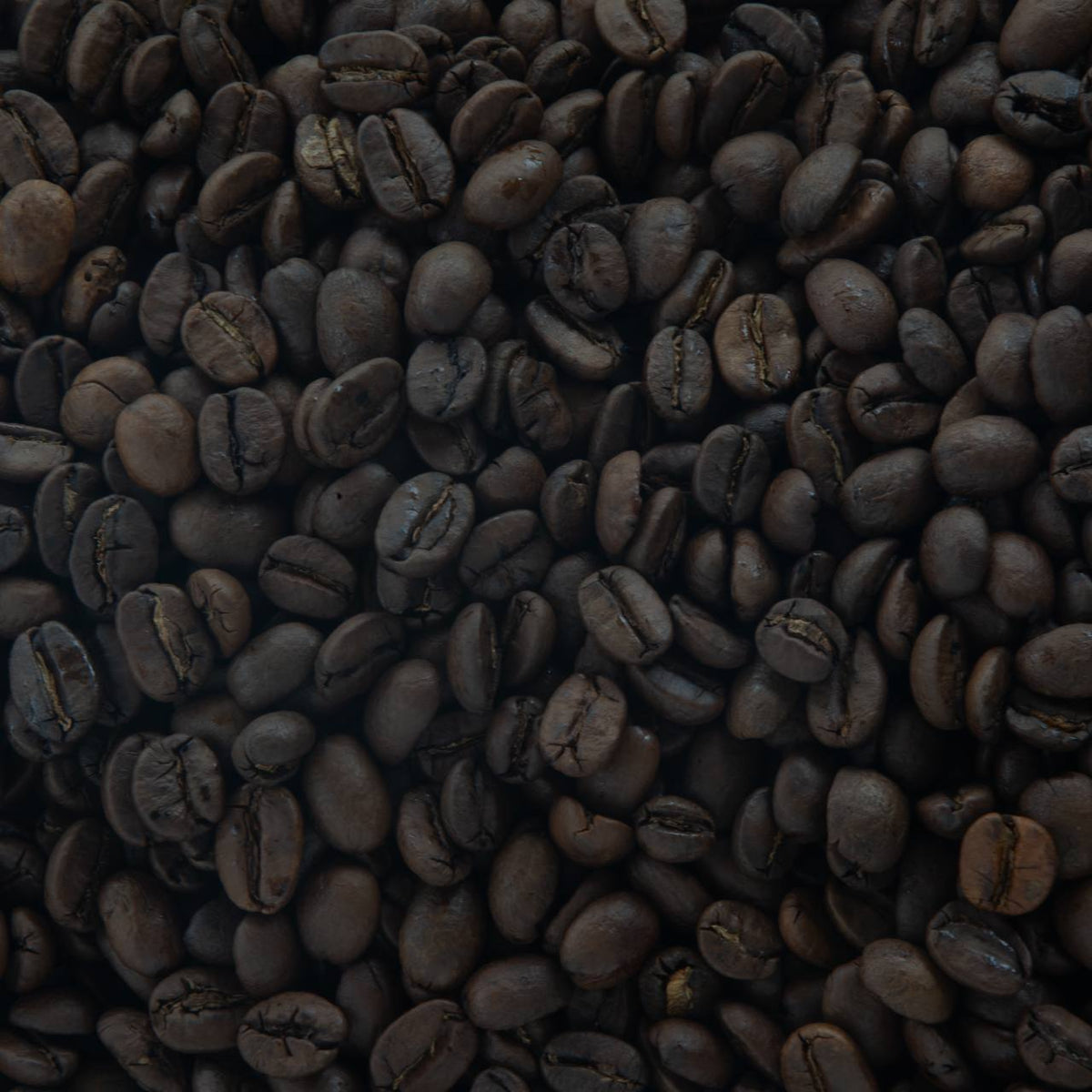 Southern Pecan image 1